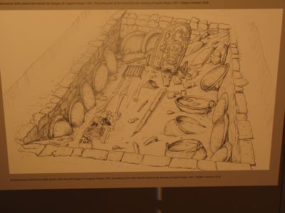 IMG_0626.jpg