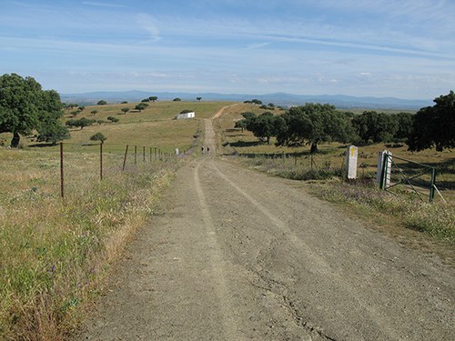 IMG_0397.JPG